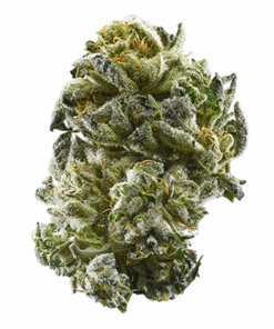 GSC - Girl Scout Cookies