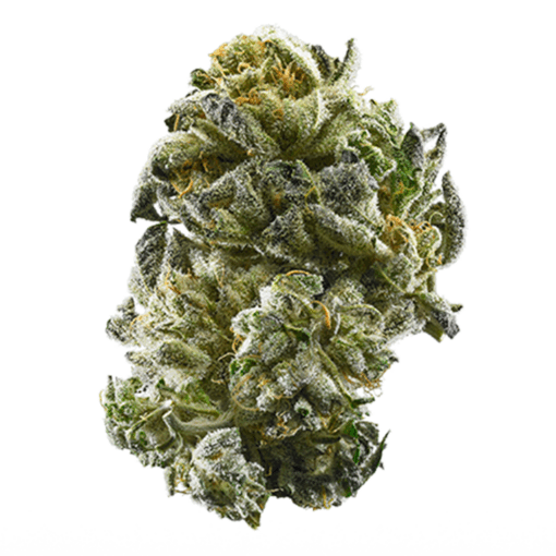 GSC - Girl Scout Cookies
