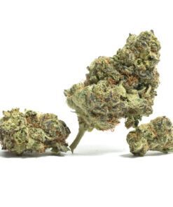 Lemon Skunk