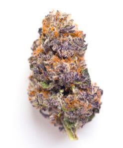 Mendocino Purps