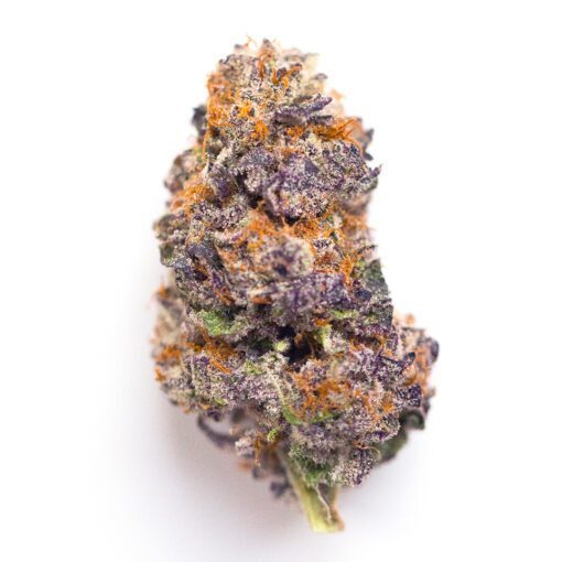 Mendocino Purps