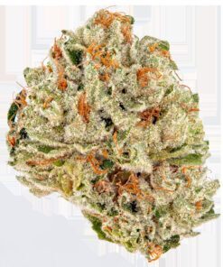 Sour Kush