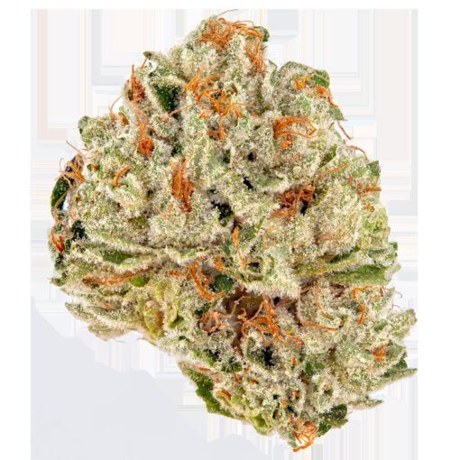 Sour Kush