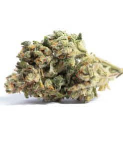 Acapulco Gold