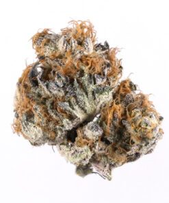 Blueberry