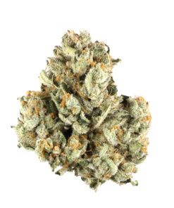 Colombian Gold weed strain